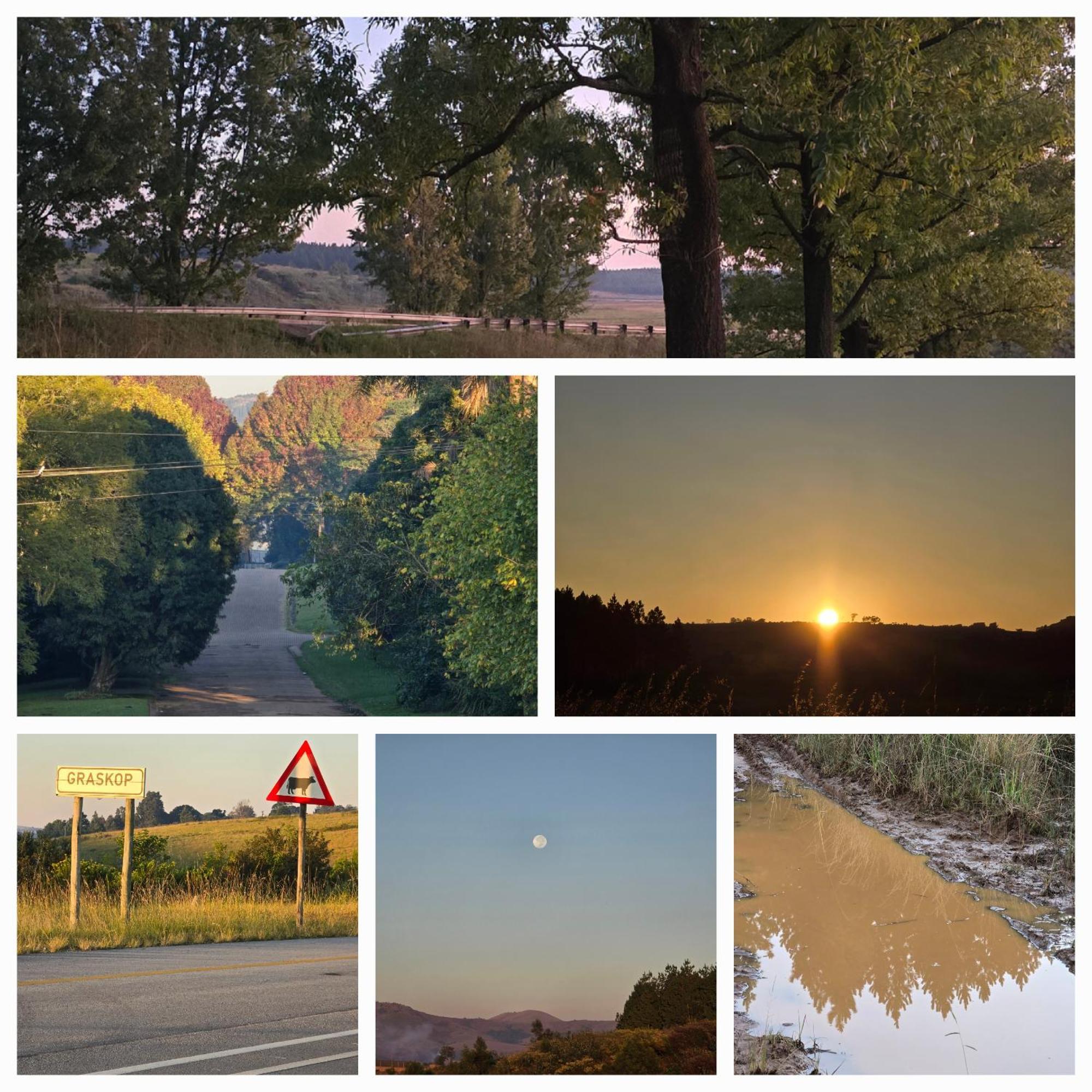 Mosswood Bed & Breakfast Graskop Zewnętrze zdjęcie