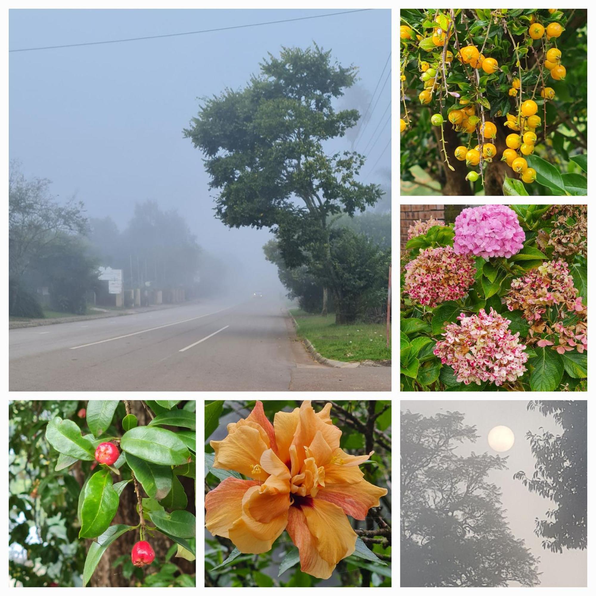 Mosswood Bed & Breakfast Graskop Zewnętrze zdjęcie