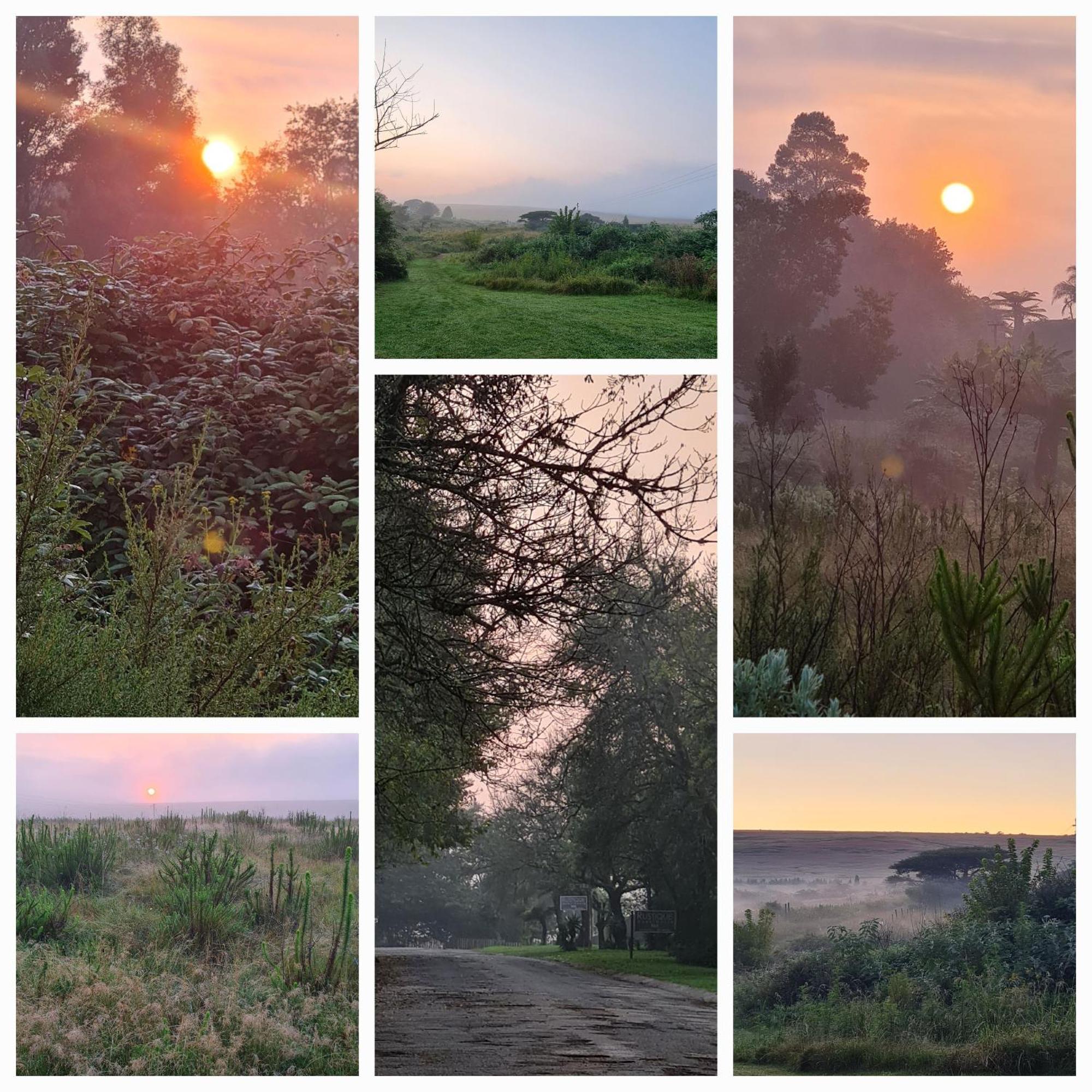 Mosswood Bed & Breakfast Graskop Zewnętrze zdjęcie
